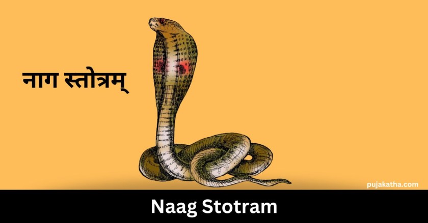 Naag Stotram